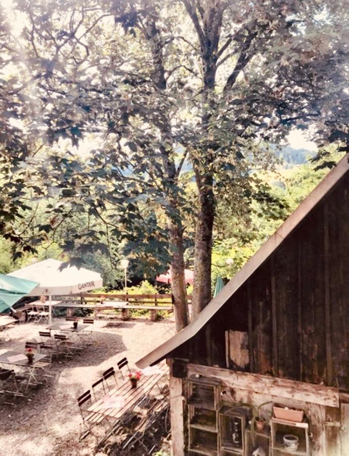 Gasthaus Birke Hotel